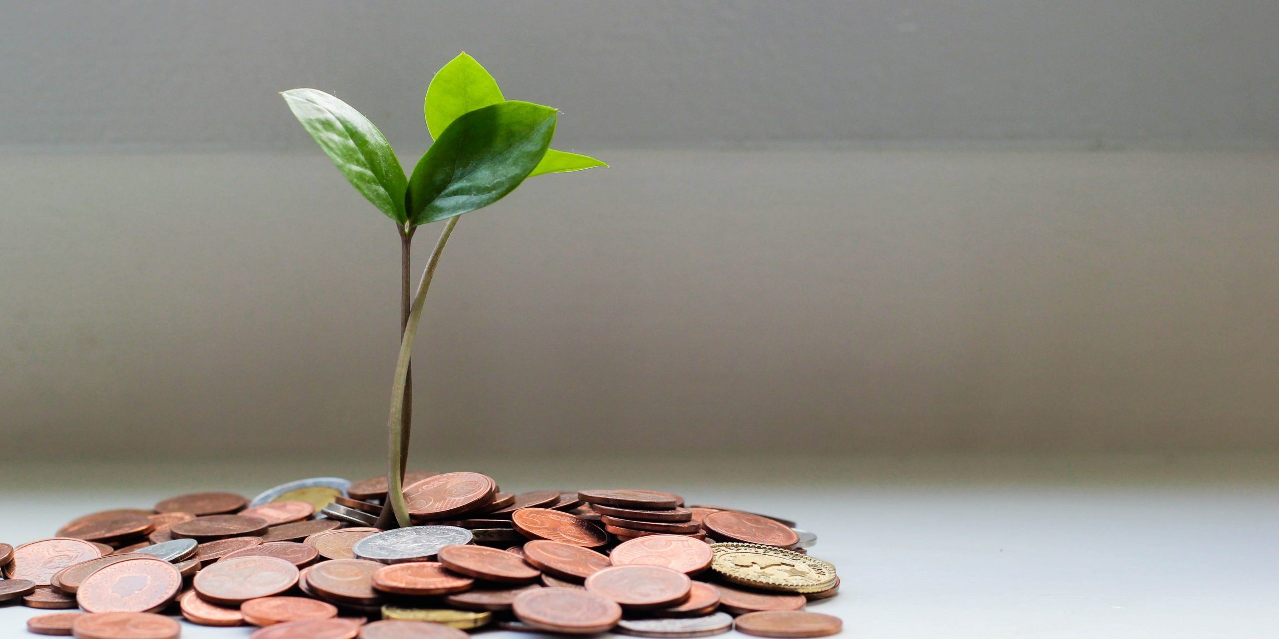 growing-economy